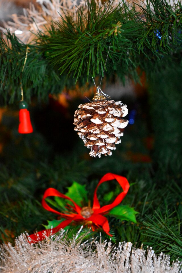 Celebrate con ornament