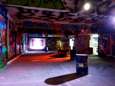 Lyon 6e - Ancienne usine Mercier et Chaleyssin - Zoo XXL 18