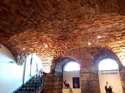 Lyon 5e - Quai Romain Rolland - Galerie L'Œil écoute, plafond