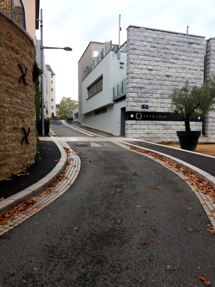 Lyon 5e - Rue Professeur Pierre Marion, vers le nord, en arrivant au belvédère Cardinal Henri de Lubac