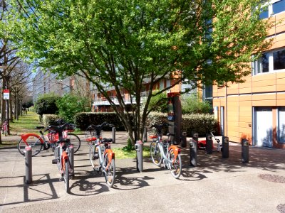 Lyon 6e - Allée Achille Lignon, station Velo'v 6036