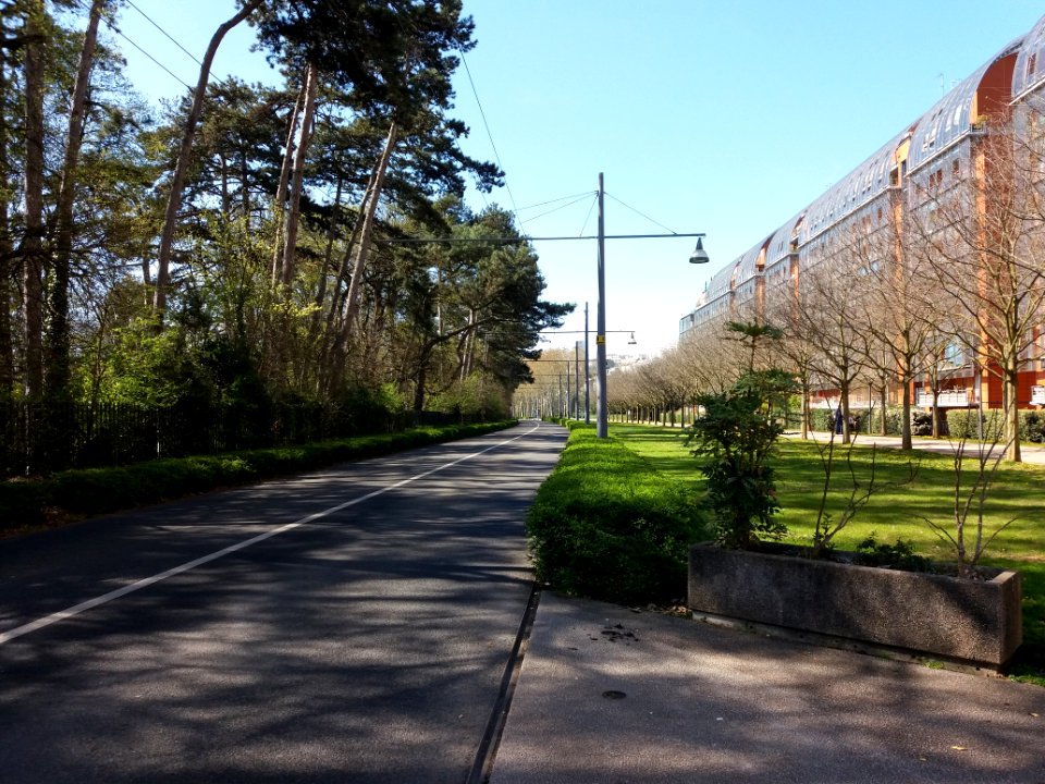 Lyon 6e - Allée Achille Lignon, voie des bus