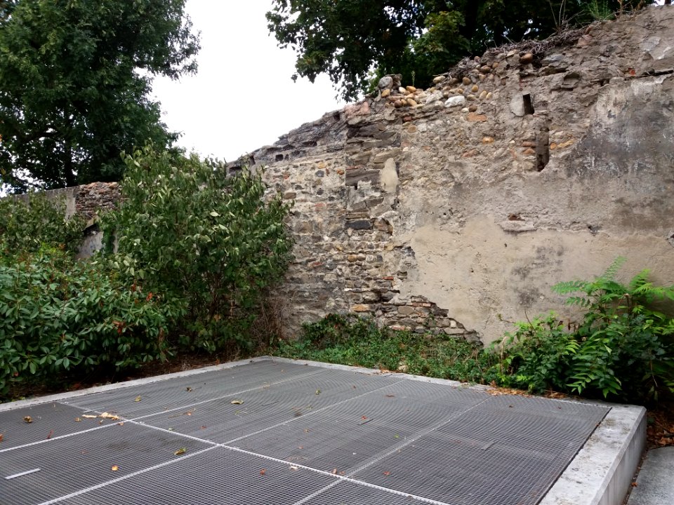 Lyon 5e - Rue des Fossés de Trion, mur ancien