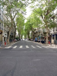 Lyon 6e - Cours Franklin Roosevelt, depuis la rue Garibaldi