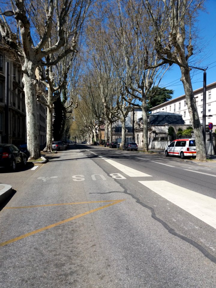 Lyon 6e - Boulevard des Belges, côté nord depuis la rue Duquesne