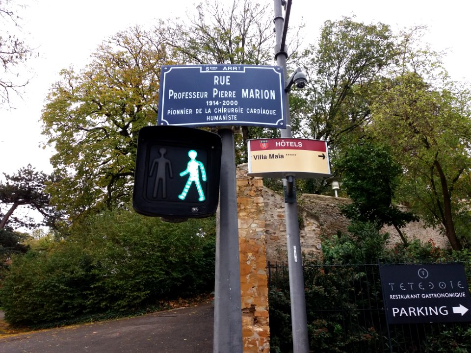 Lyon 5e - Rue Professeur Pierre Marion, plaques et feu pour piétons