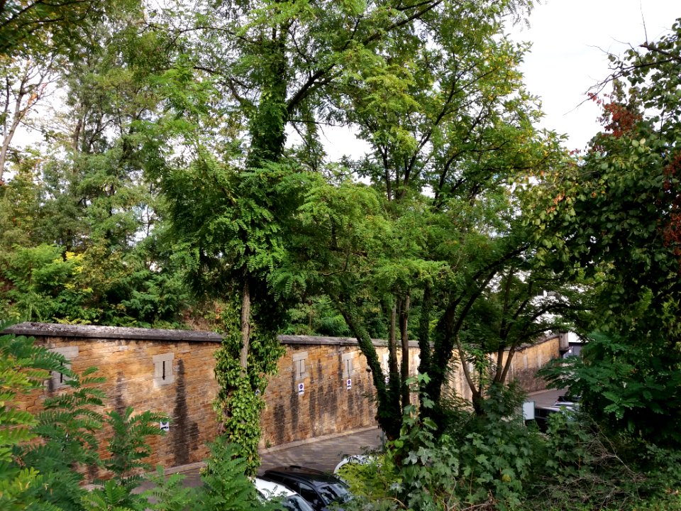 Lyon 5e - Rue Sœur Bouvier, accès au fort Saint Irénée (3)