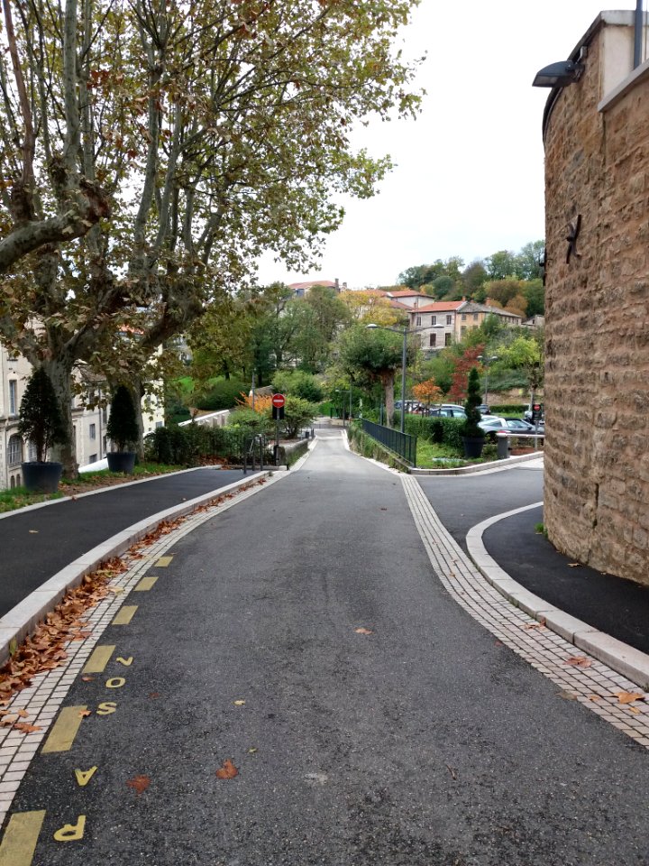 Lyon 5e - Rue Professeur Pierre Marion, vers le sud, depuis le belvédère Cardinal Henri de Lubac