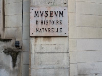 Lyon 6e - Boulevard des Belges, plaque du musée Guimet