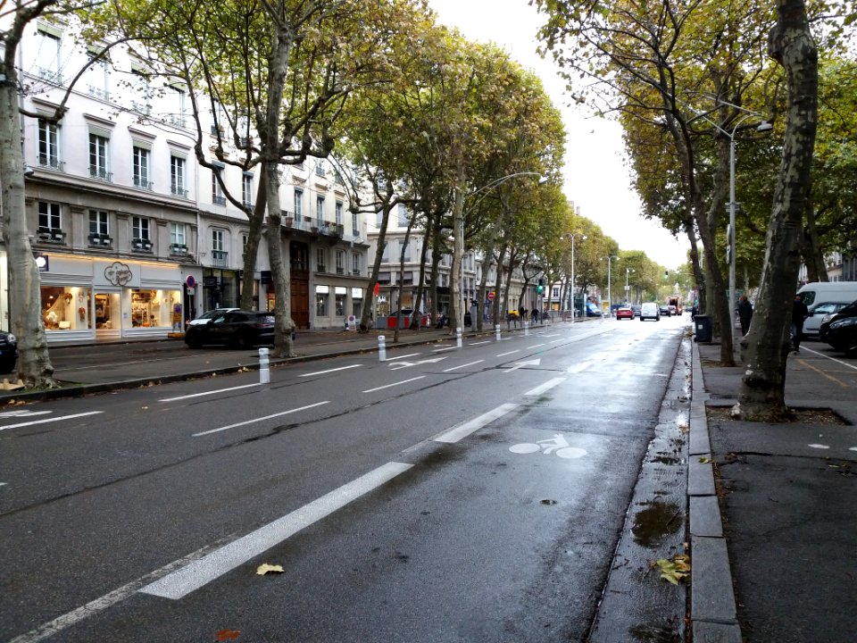 Lyon 6e - Cours Franklin Roosevelt - Nouvelles pistes cyclables