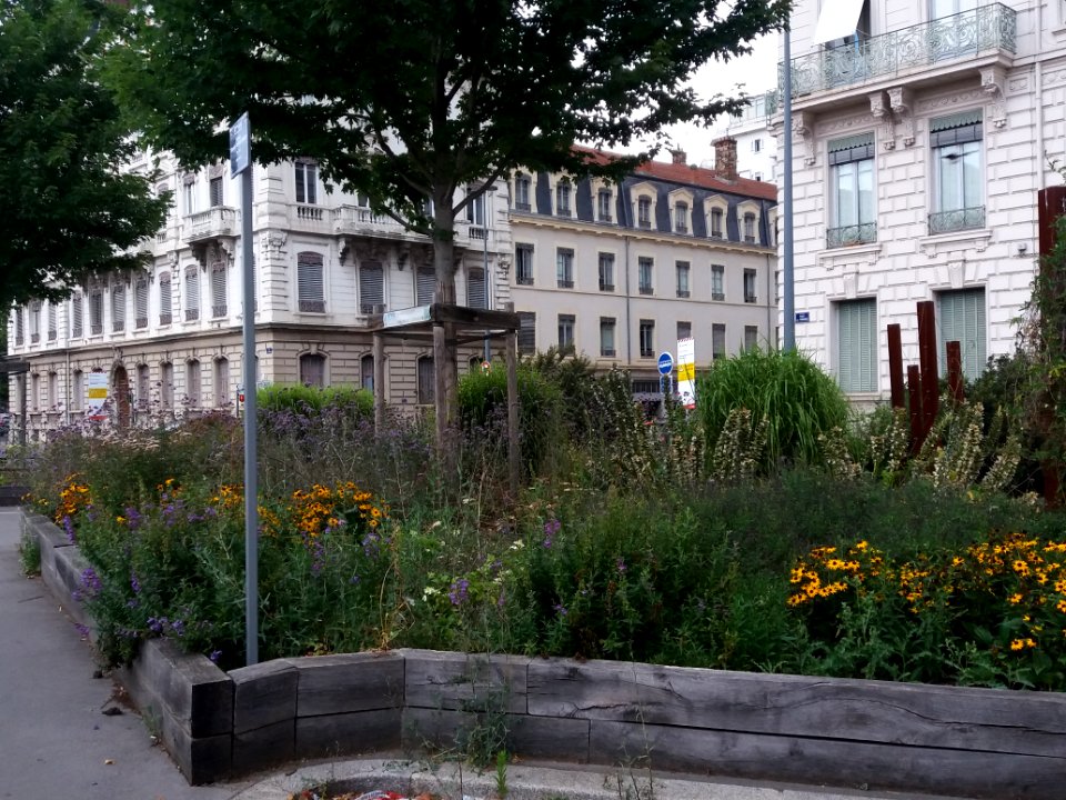 Lyon 6e - Espace Elisabeth George-Schmitt, vue depuis l'angle sud-ouest