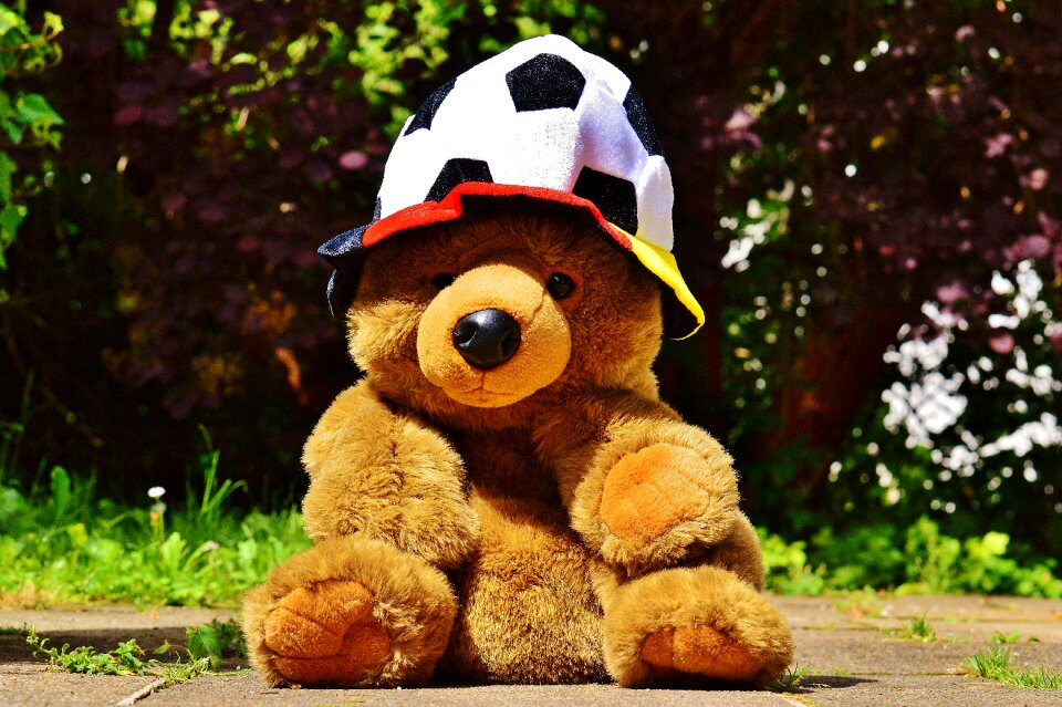 Teddy france tournament