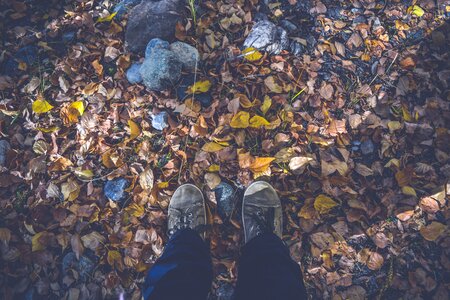 Fall feet forest photo