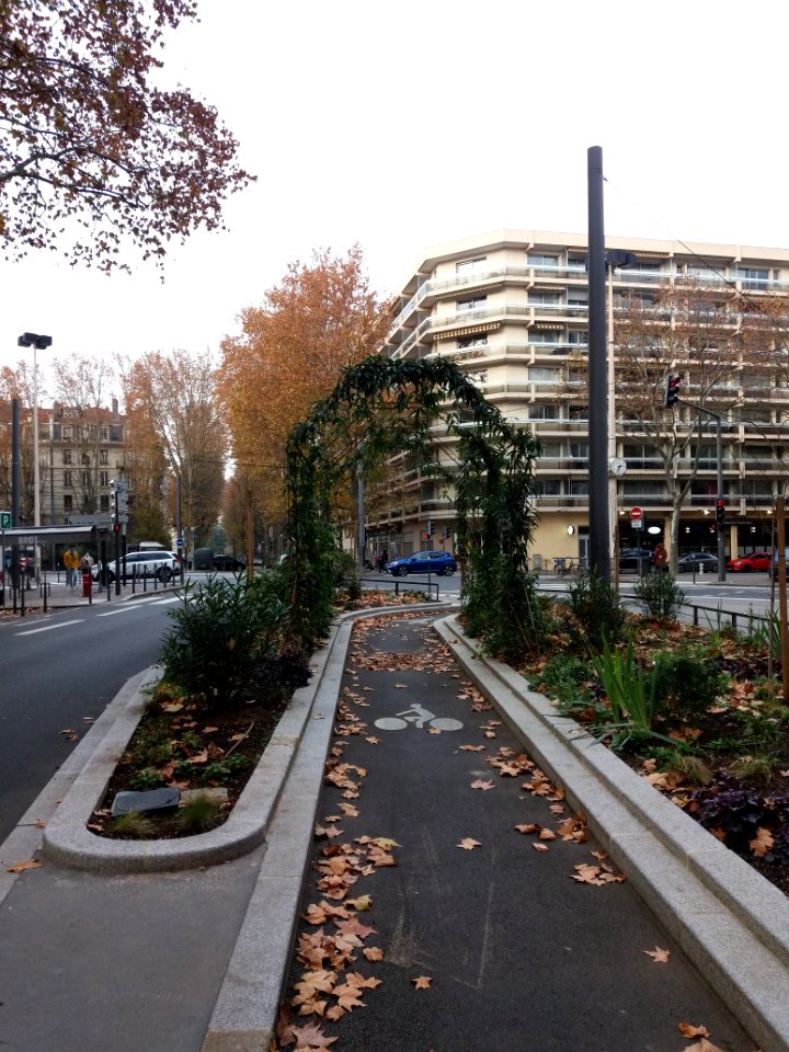Lyon 6e - Boulevard des Brotteaux - Pergola sur la piste cyclable en arrivant cours Vitton