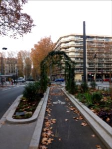Lyon 6e - Boulevard des Brotteaux - Pergola sur la piste cyclable en arrivant cours Vitton