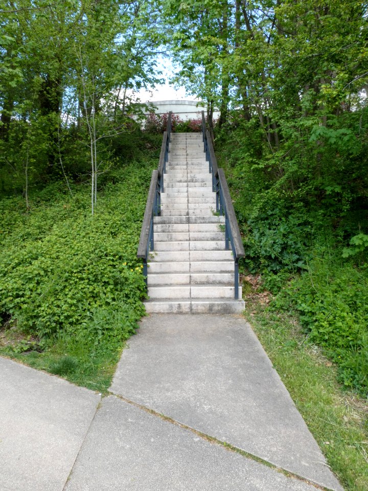 Lyon 9e - Parc du Vallon - Escalier montant au groupe scolaire Les Fougères