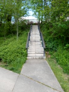 Lyon 9e - Parc du Vallon - Escalier montant au groupe scolaire Les Fougères
