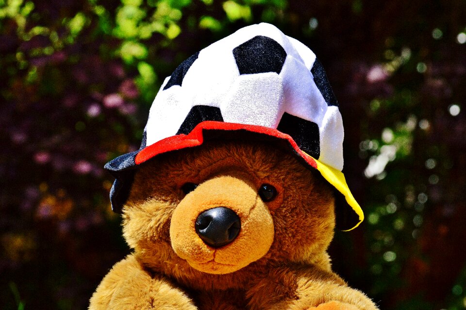 Teddy france tournament