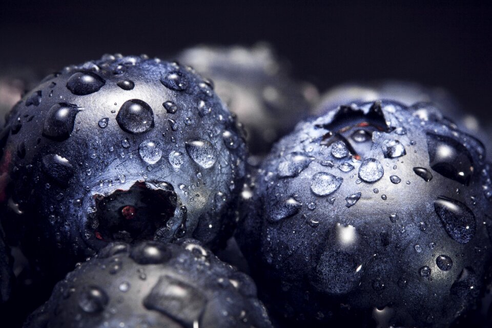 Dew droplets drops