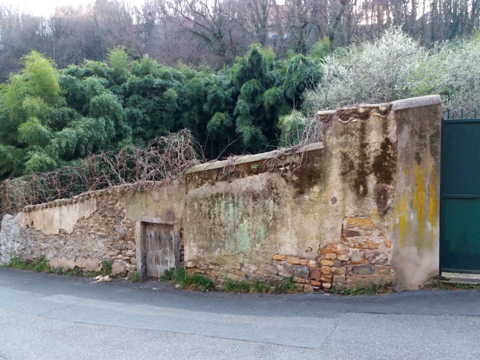 Lyon 9e - Rue des Rivières - Petite porte dans un mur