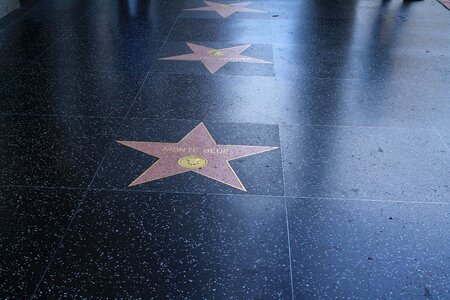 Stars star hollywood boulevard