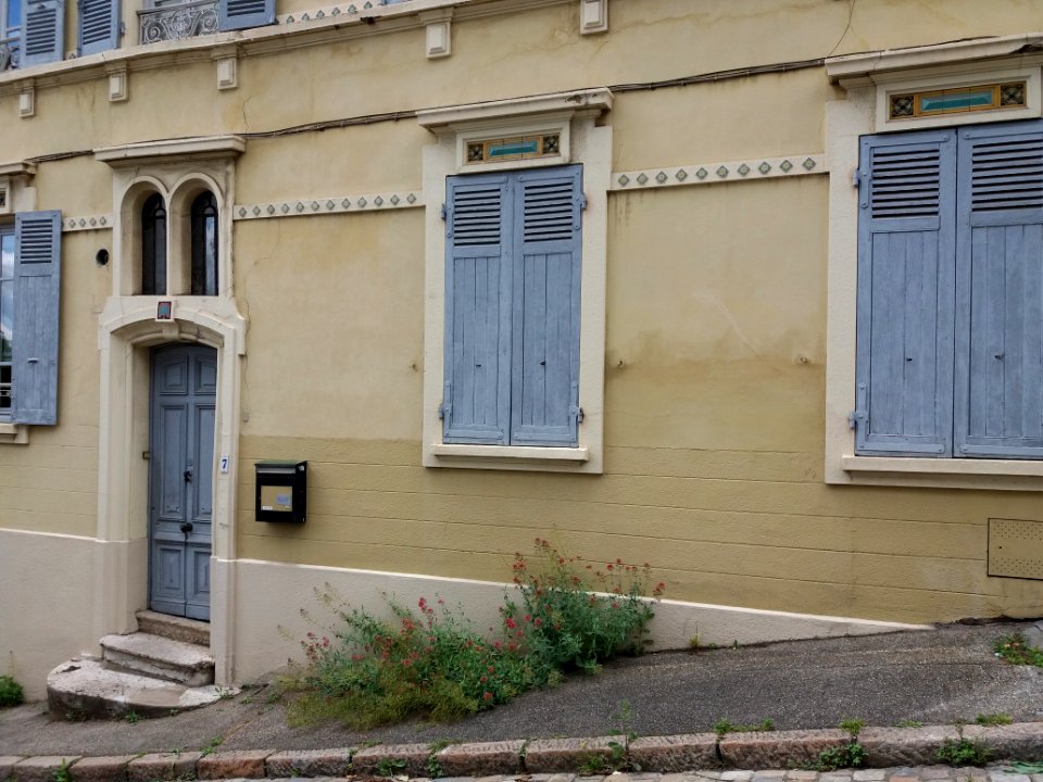 Lyon 5e - Rue des Tourelles, porte et fenêtres au numéro 7