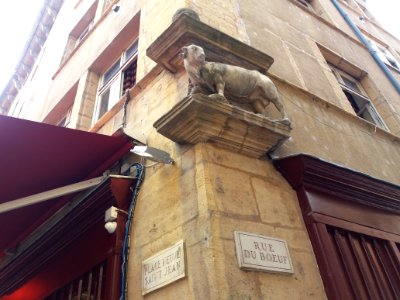 Lyon 5e - Rue du Bœuf - Statue de bœuf à l'angle de la place Neuve-Saint-Jean 2