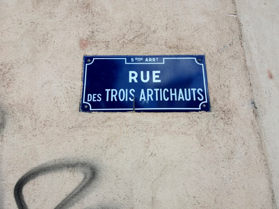 Lyon 5e - Rue des Trois Artichauts, plaque
