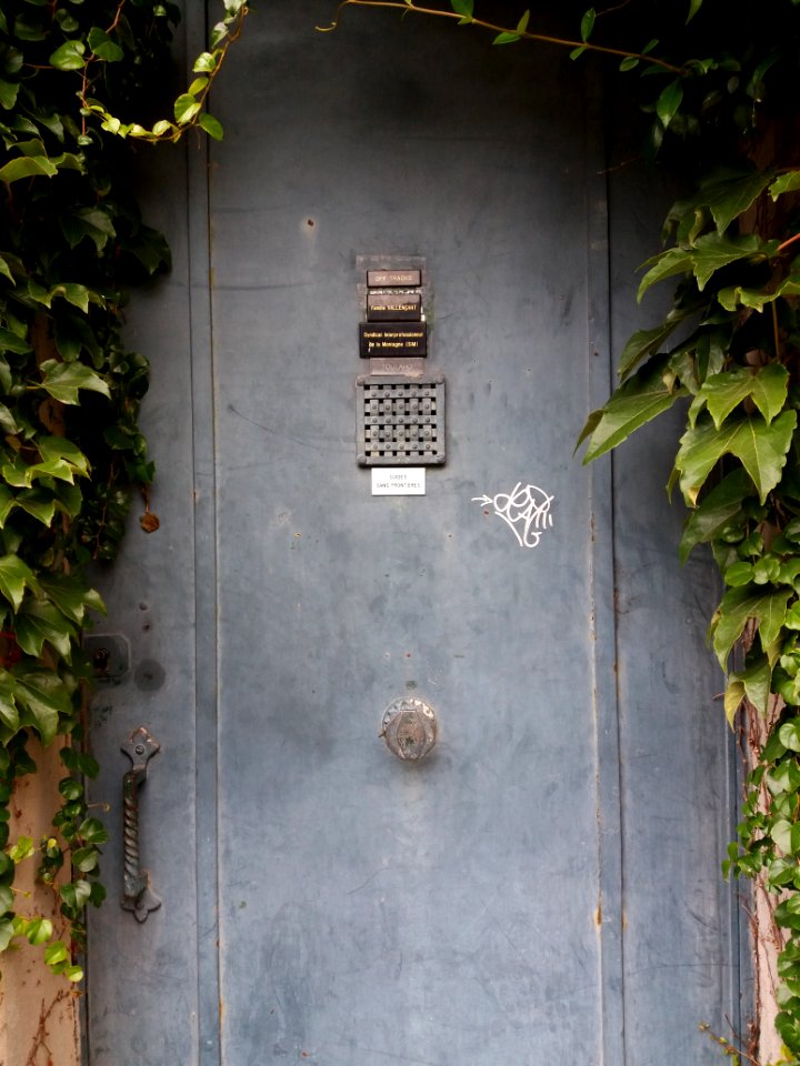 Lyon 5e - Rue des Pommières, porte en métal