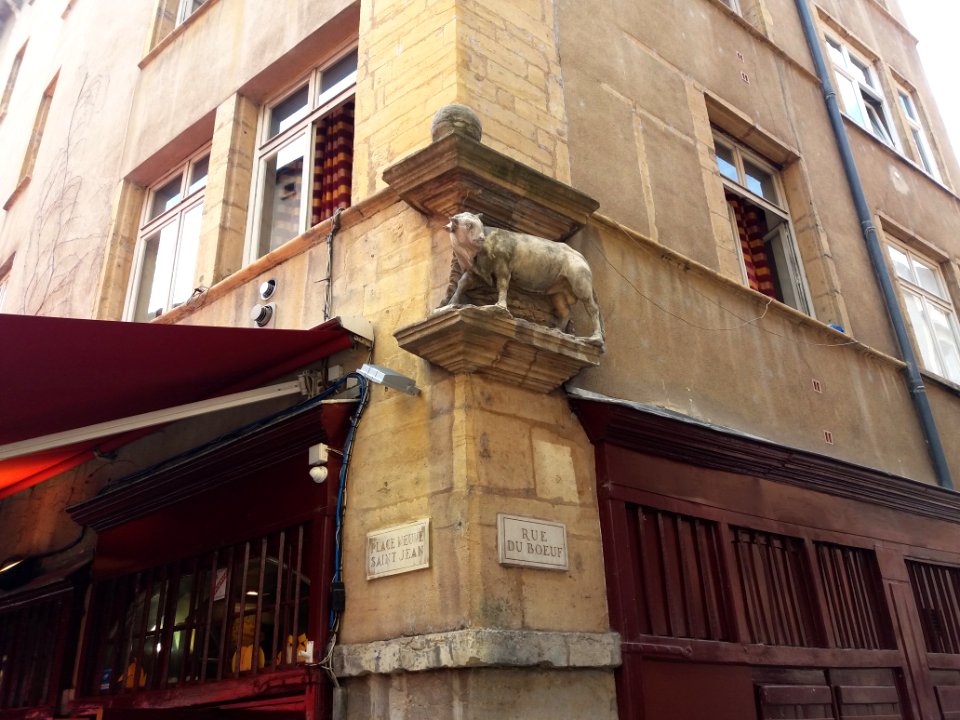 Lyon 5e - Rue du Bœuf - Statue de bœuf à l'angle de la place Neuve-Saint-Jean