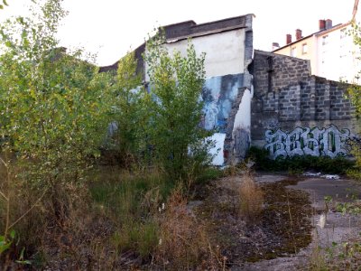 Lyon 7e - Halles du Faubourg, jardin (08)