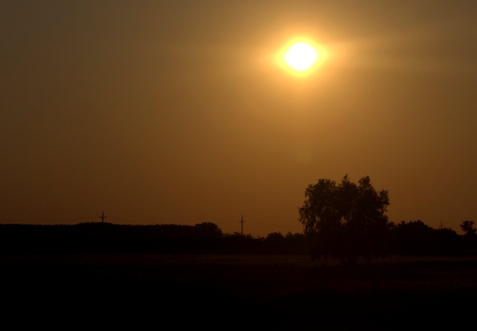 Landscape shine tree photo