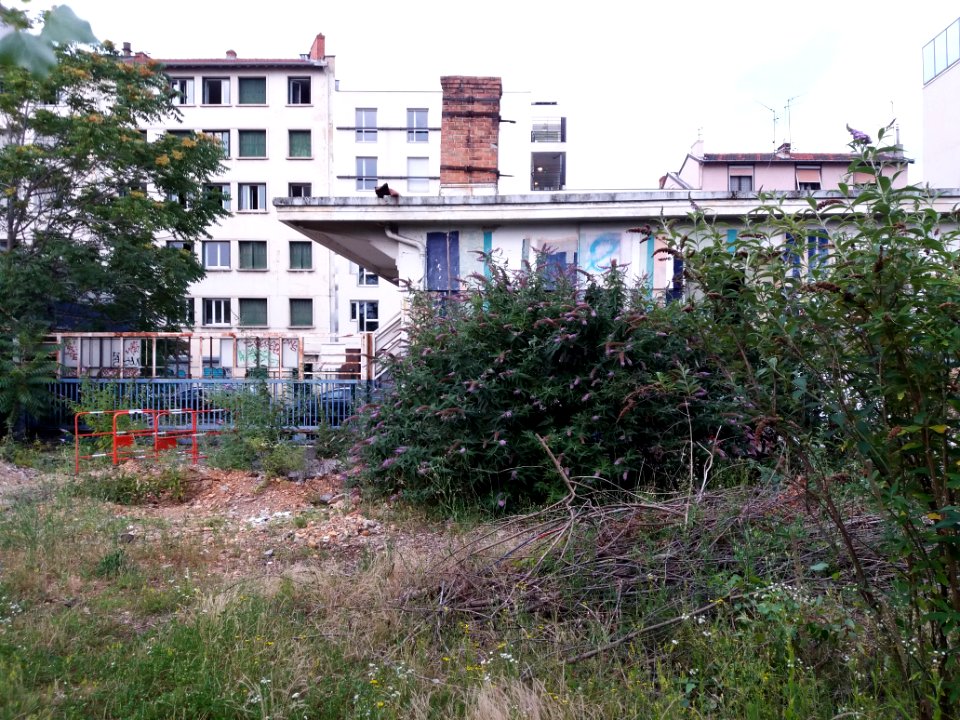 Lyon 7e - Halles du Faubourg, jardin, vue sur la route de Vienne