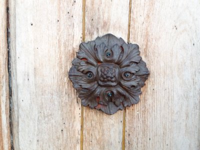 Lyon 5e - Place Saint Alexandre, porte au numéro 5, décoration