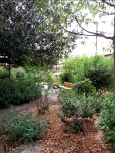 Lyon 7e - Jardin des 44 enfants d'Izieu, disparition des panneaux commémoratifs