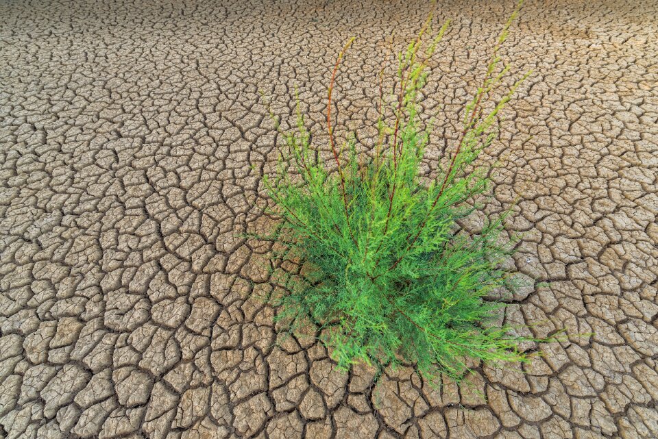 Broken texture field