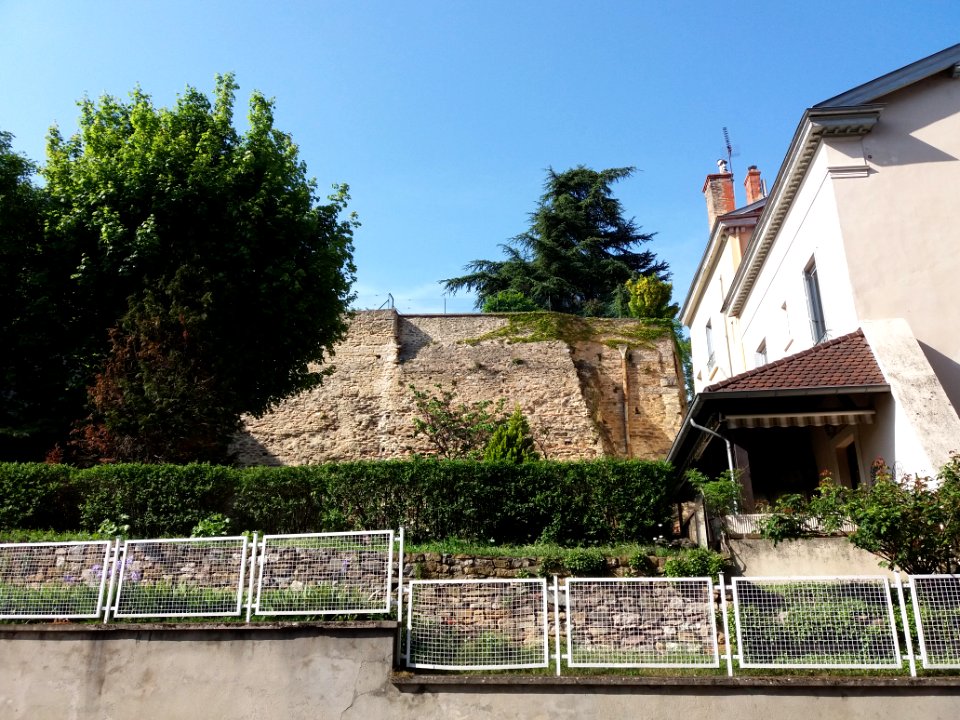 Lyon 5e - Mur Cléberg 2