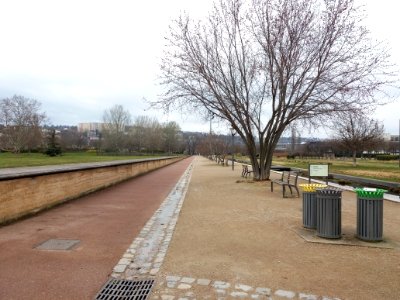 Lyon 7e - Parc de Gerland, allée de la Grande Prairie, côté nord depuis la rue Jean-Pierre Chevrot