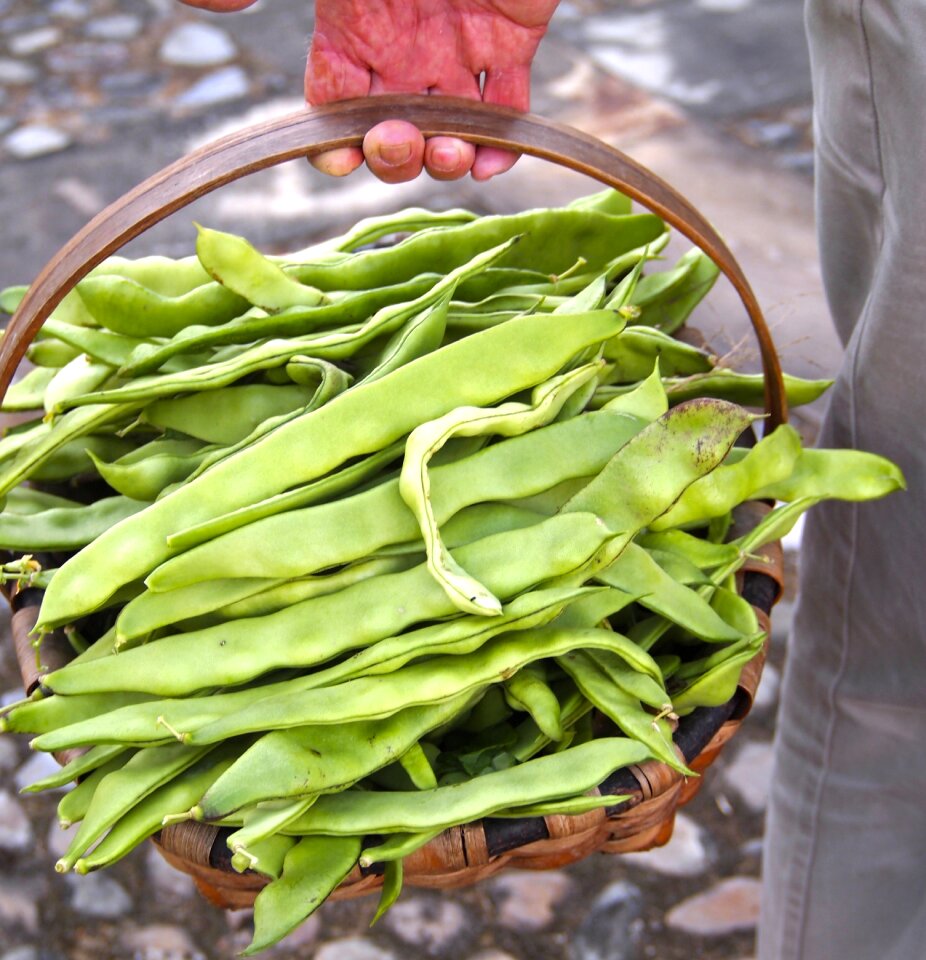 Organic ingredient green