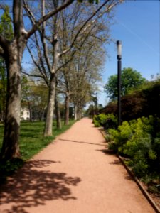 Lyon 5e - Parc de la Mairie - Allée menant au parc de la Passerelle