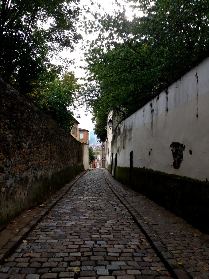 Lyon 5e - Montée des Carmes Déchaussés, depuis la montée Nicolas de Lange (2)