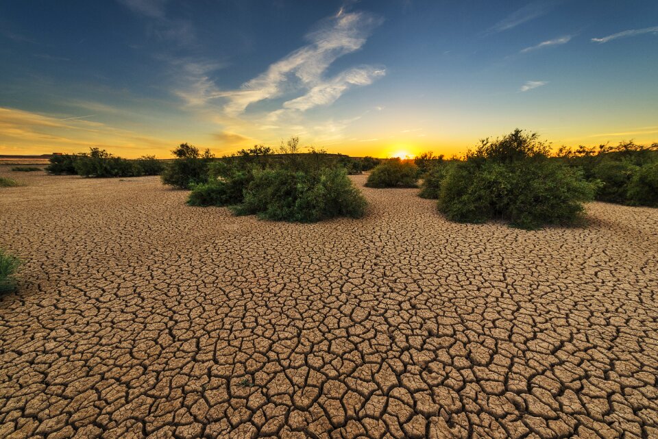 Earth cracked cracks