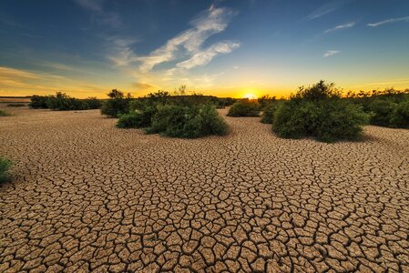 Earth cracked cracks