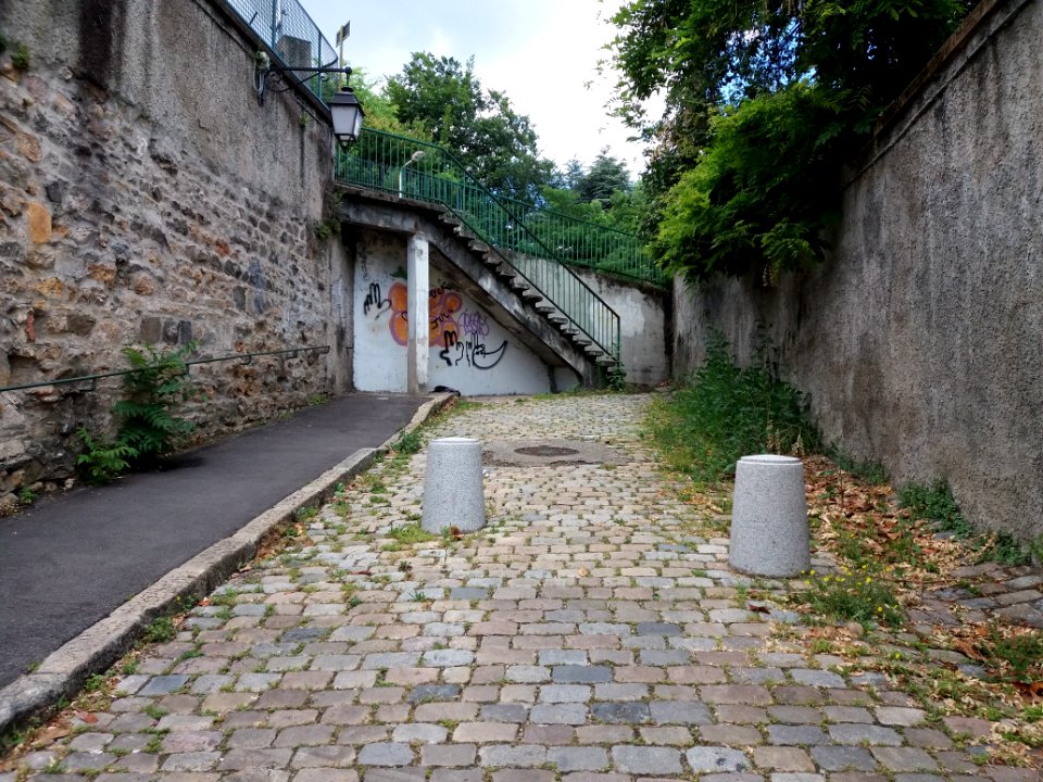 Lyon 5e - Montée des Génovéfains, escalier montant à la montée de Choulans