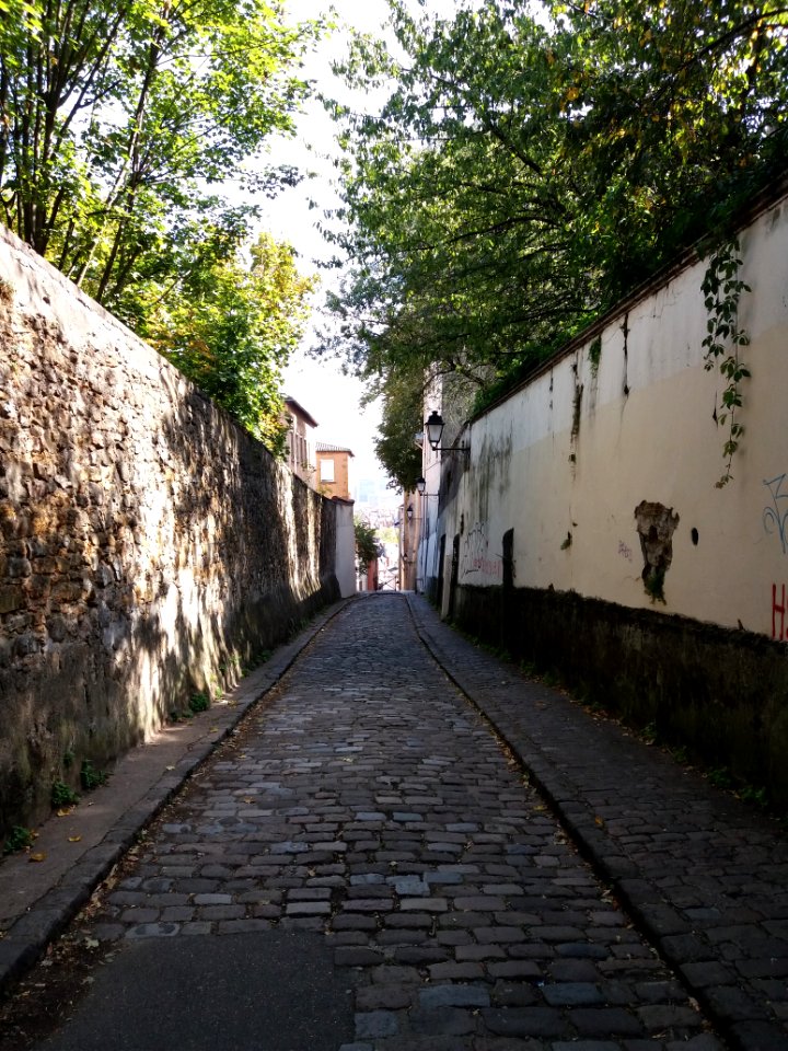 Lyon 5e - Montée des Carmes Déchaussés, depuis la montée Nicolas de Lange