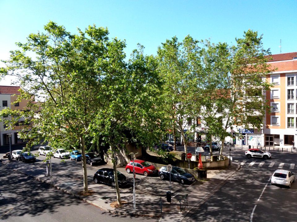 Lyon 5e - Place Père François Varillon, depuis le jardin (2)
