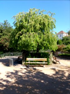 Lyon 5e - Jardin Francine Chollet, place centrale