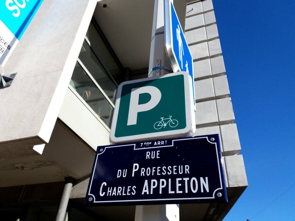 Lyon 7e - Rue du Professeur Charles Appleton, plaque