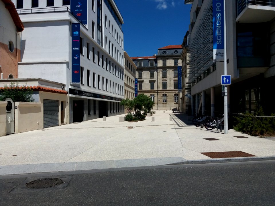 Lyon 7e - Rue du Professeur Charles Appleton, nouvelles bannières