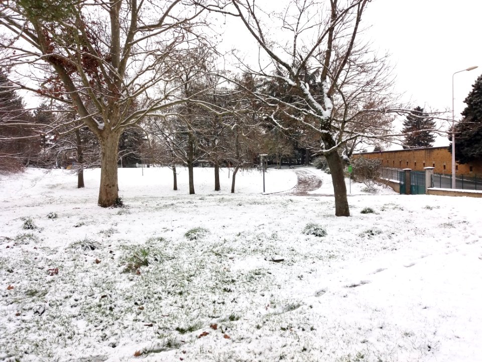 Lyon 5e - Jardin Pierre Thévenin - Sous la neige 02